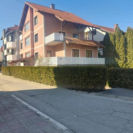Apartman Andrijana 1 Soko Banja Exterior photo